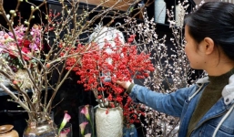 Tết 2021 rộ lên trào lưu cắm hoa đào siêu đắt, vài chục triệu nhưng vẫn ‘cháy’ hàng