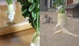 Củ cải ‘tập thể dục’ bỗng dưng tạo trend vì… 'da trắng dáng xinh'