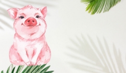 12 con giáp – Tuổi Hợi nên tránh những hành động nào để 2021 gặp nhiều may mắn?