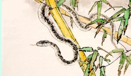 3 con giáp dính hạn ‘Tam Tai’ khi sang năm 2021, cần vô cùng thận trọng khi làm ăn