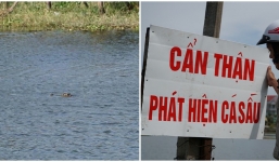 Vụ cá sấu ‘tung tăng’ ở hồ dân sinh Vũng Tàu: Vẫn chưa tìm ra tung tích để bắt