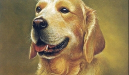 Thời hoàng kim giúp 12 con giáp – Dậu, Tuất, Hợi thăng tiến ‘như diều gặp gió’ là khi nào?