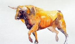 Thời hoàng kim giúp 12 con giáp – Tý, Sửu, Dần thăng tiến ‘ào ào’ là khi nào?