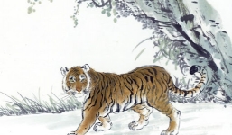 Tuổi Giáp Dần 1974 nên chọn hướng xuất hành Tết 2021 như thế nào để ‘thu tài thu lộc’?