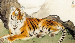 Tuổi đẹp xông đất Tân Sửu 2021 gia chủ tuổi Bính Dần 1986