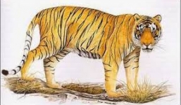 Tuổi Mậu Dần 1998 nên chọn tuổi nào xông đất năm mới Tân Sửu 2021?