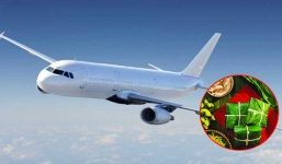 Nhiều người ‘chịu chi’ số tiền lớn chỉ để gửi bánh chưng HN vào Sài Gòn cho bớt ‘cô đơn’ 