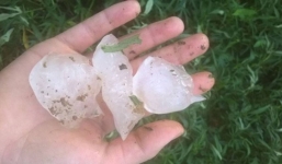 Nhiều nơi ở Lai Châu bỗng xuất hiện mưa đá trắng xóa, hạt to như viên bi