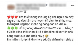 Dân tình ‘hò nhau’ đi giải cứu nông sản Hải Dương, sốc khi thấy giá bán