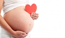 Những tháng âm lịch năm Tân Sửu thuận lợi cho việc sinh con thông minh, có tiền đồ