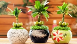 2 thứ nên giữ, 3 thứ phải bỏ khỏi bàn làm việc mới mong công việc ‘thuận buồm xuôi gió’