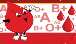 Tại sao hiến máu thì không được tiền mà muốn truyền máu thì lại phải mất tiền?