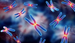 Căn bệnh lạ ‘chỉ đàn ông mắc phải’ đặc biệt nguy hiểm, đang ngày càng phổ biến