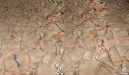 Lan truyền cảnh thạch dừa trong bể chứa lẫn vật thể lạ