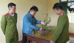 Công an tóm gọn vụ mua lan đột biến tiền tỷ: Tiền mất tật mang