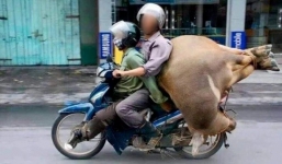 Phong cách thồ hàng nguyên con của dân buôn Việt làm dân tình phải ‘toát mồ hôi’