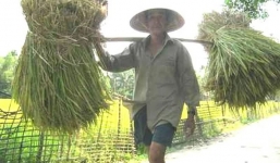 Có một ngôi làng kì lạ ở Việt Nam ‘đàn ông cứ ở vậy... cho gái thèm’ 