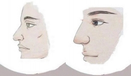 3 tướng mũi tốt ở cả nam và nữ nhiều người ao ước: Đàn ông tài trí, phụ nữ tài năng