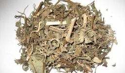 Cô gái trẻ uống thuốc nam ‘ba đời’ suốt 20 ngày vì tin lời quảng cáo ‘có con trai’