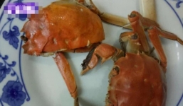 Cách bà mẹ chia 6 con cua cho các con khiến CĐM ‘than trời’ vì thiên vị