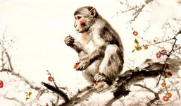 Tử vi 12 con giáp – Ngọ, Mùi, Thân từ ngày 26/4 – 2/5/2021