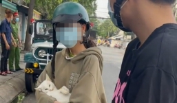 Giãn cách theo chỉ thị 16 có được đưa mèo ốm đi khám thú y