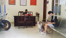 Bất chấp chỉ thị 16, cô gái HN vẫn dắt chó đi dạo và bị phạt 2 triệu đồng