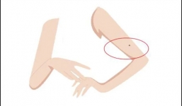 3 vị trí nốt ruồi cánh tay: Tiền bạc rủng rỉnh cả đời, sự nghiệp ‘như diều gặp gió’