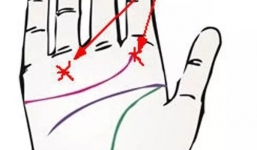 6 nét tướng chỉ tay tay của người có số giàu sang phú quý