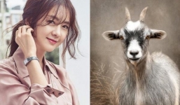 Đầu tháng 9/2021, 3 con giáp ‘cầu được ước thấy’, tài vận đi lên 