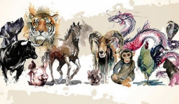 Tử vi hôm nay ngày 9/9/2021: Tuổi Dậu thăng hoa, tuổi Thìn lưu ý ‘đối nhân xử thế’