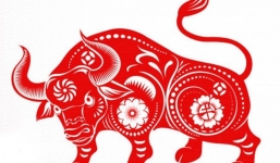 Tử vi Tử vi tuần 18 - 24/10/2021 của 12 con giáp: Tuổi Tý đầy năng lượng, Tuổi Thìn khó khăn giữa tuần