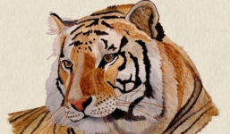 Tử vi hôm nay 21/10/2021: Tuổi Sửu tránh rắc rối mối quan hệ, Tuổi Mão có cơ hội thực hiện thời cơ