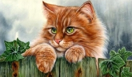 Tử vi hôm nay 10/11/2021: Tuổi Thân đón nhiều tin vui, Tuổi Ngọ có một ngày vượng vận