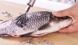 5 bộ phận của cá siêu hôi tanh phải sơ chế kĩ nếu không muốn ‘mất bữa cơm ngon’