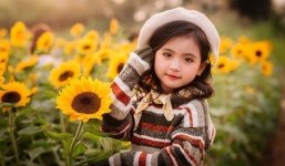 Tử vi tuần 13/12 - 19/12/2021 của 12 con giáp: Tuổi Sửu may mắn, Tuổi Thìn cần lưu ý