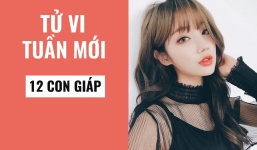 Tử vi tuần 27/12/2021 - 2/1/2022 của 12 con giáp: Tuổi Sửu cần cẩn trọng, Tuổi Tỵ nhận tài lộc