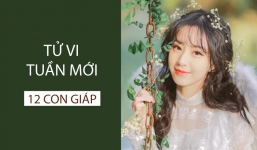 Tử vi tuần 3/1 - 9/1/2022 của 12 con giáp: Tuổi Tý biến động đầu tuần, Tuổi Mão thuận lợi giữa tuần