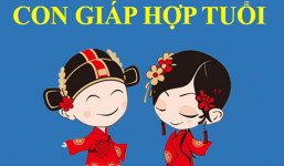 3 cặp con giáp ‘tam hợp’, lấy nhau chỉ giàu có đi lên, hạnh phúc hiếm ai bằng