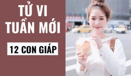 Tử vi tuần 10/1-16/1 của 12 con giáp: Ngọ, Mùi, Thân, Dậu, Tuất, Hợi