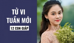 Tử vi tuần 10/1-16/1 của 12 con giáp: Tý, Sửu, Dần, Mão, Thìn, Tỵ