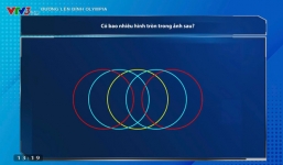 Câu hỏi Olympia: Có bao nhiêu hình tròn trong ảnh? Tưởng dễ ợt mà đếm toàn nhầm
