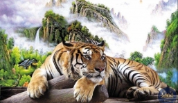 Tử vi 4 con giáp tuổi  Dần 1998, 1986, 1974, 1962 sẽ diễn ra như thế nào trong năm 2022?