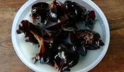 Ngâm nấm hương, mộc nhĩ bằng nước lạnh hay nóng? Cho thêm thứ này sẽ nở bung, rơi hết bụi bẩn