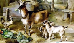 Tuổi xông đất hợp với tuổi Đinh Mùi 1967 vào năm Nhâm Dần 2022 đại cát, đại lợi