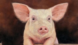 6 tháng đầu năm 2022, 3 con giáp bất ngờ trở thành ‘đại gia số má’, có quý nhân phù trợ