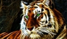 Tử vi cho người tuổi Dần vào năm Nhâm Dần 2022: Dính hạn năm tuổi có bị bết bát?