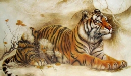 3 tuổi hạn cực xấu trong năm Nhâm Dần 2022, đặc biệt 1 tuổi cần hết sức lưu tâm