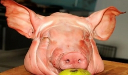 4 món đồ không được để lên mâm cỗ cúng Rằm tháng Giêng 2022, 1 thứ đặc biệt đại kỵ