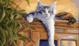 3 con giáp gặp vận xui trong tuần 14/2 - 20/2/2022: Mão cần chú ý 1 điều về tài chính